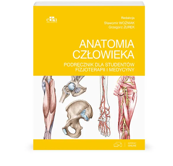 Anatomia Człowieka